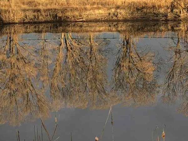 try and try&nbsp;again